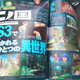 Image for article titled Studio Ghibli's DS Game Moves To PlayStation 3